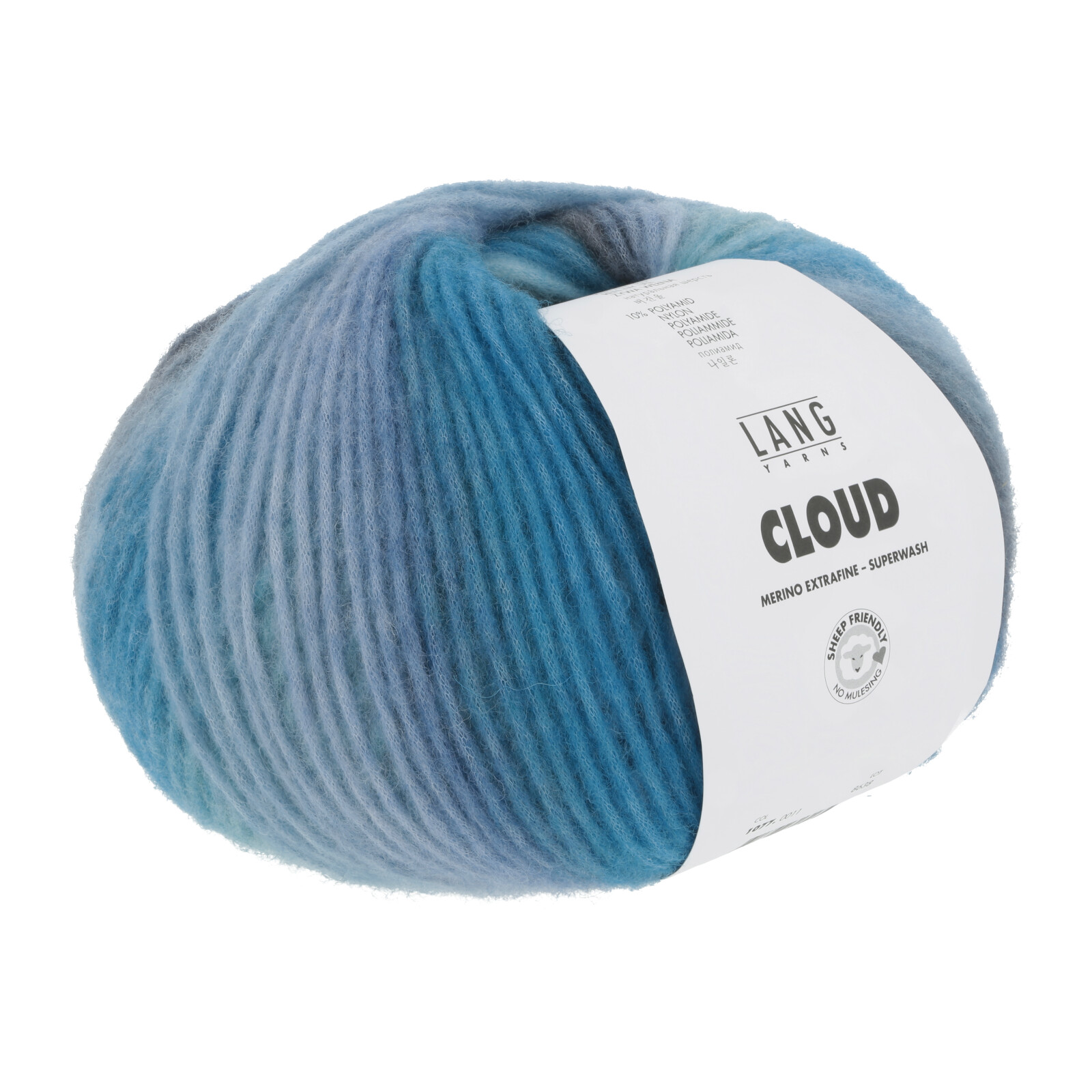 1077.0011 - CLOUD